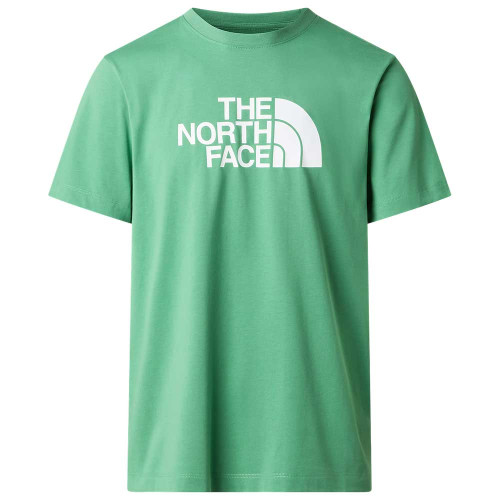 The North Face Ανδρική κοντομάνικη μπλούζα Evolution Half Dome Dimmed Algae T-Shirt